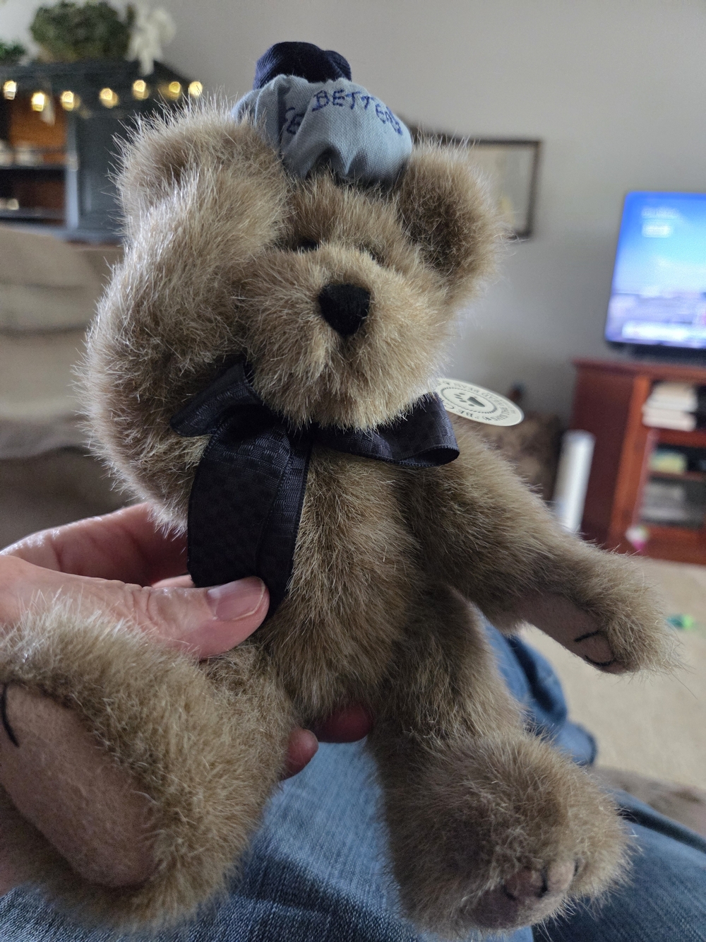 Boyds Collection 'Poor Ol' Bear' Plush with Navy Hat